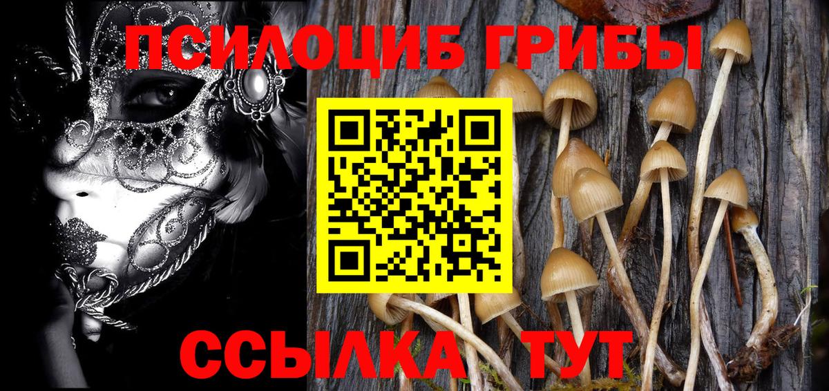 ГАШИШ Моздок