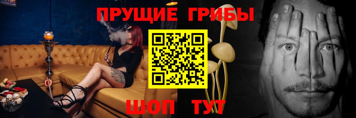 купить наркоту  Вход с VPN  Галлюциногенные грибы Psilocybine cubensis  Моздок  Галлюциногенные грибы прущие грибы 